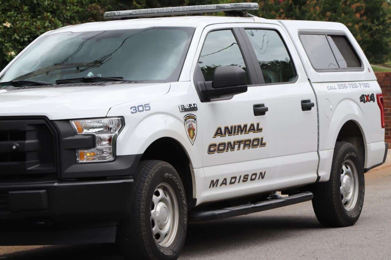 Wild Animal Control Near Me