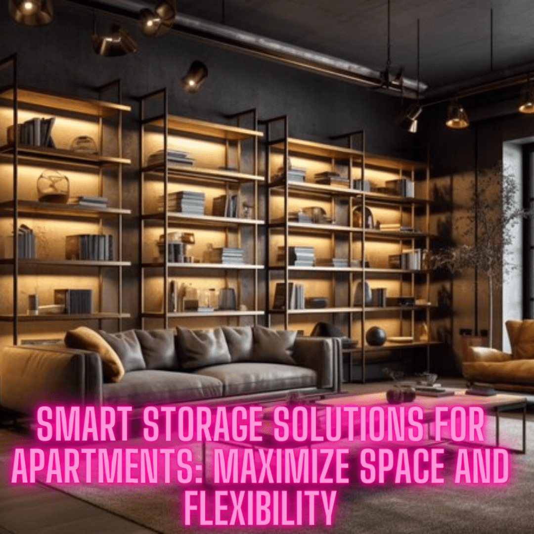 Efficiency Apartment Storage Ideas 2024