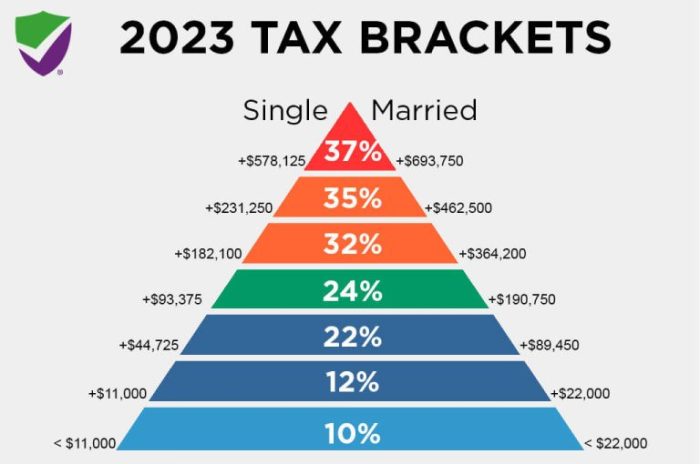 Variable Annuity Taxable Income 2024