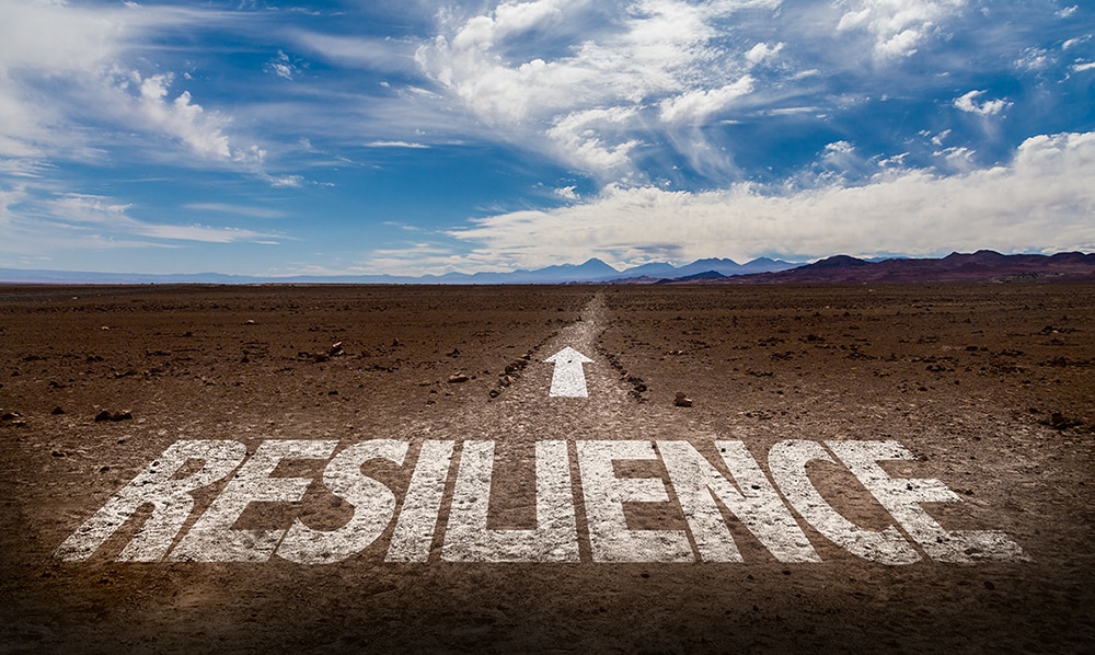 Building Resilient Businesses: Strategies for Long-Term Success