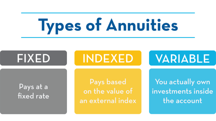 What Is Immediate Annuity Plan