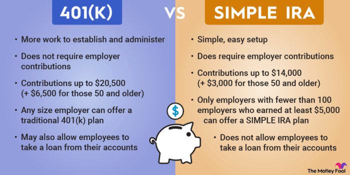 Variable Annuity Vs 401k 2024