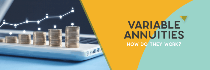 Variable Annuity Products 2024