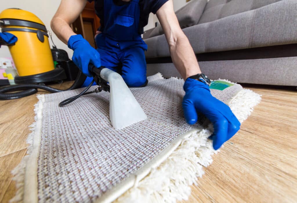 Professional Carpet Cleaning Services Near Me