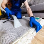 Professional Carpet Cleaning Services Near Me