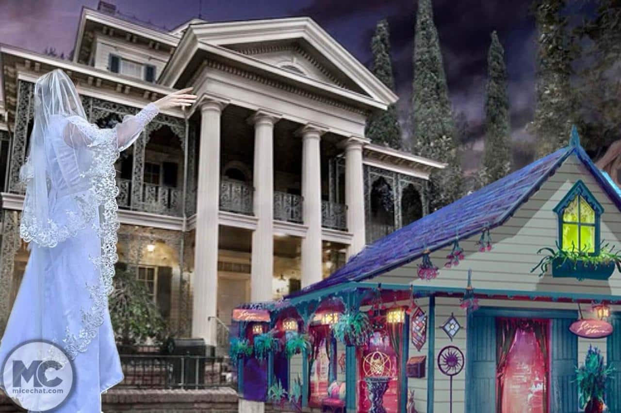 Haunted Mansion Disney October 2024 for adults