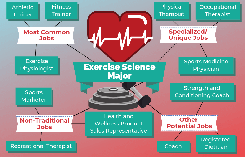 Exercise Science Degree 2024