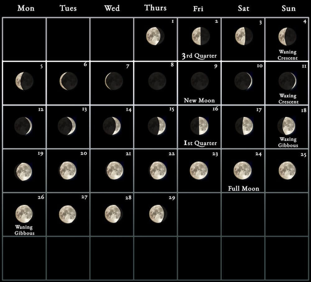 Full moon October 2024 astrology predictions