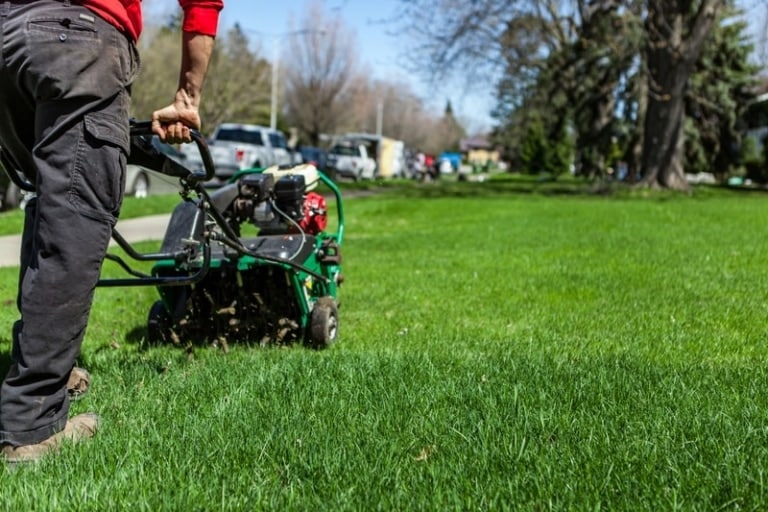 Lawn Aeration Service Near Me