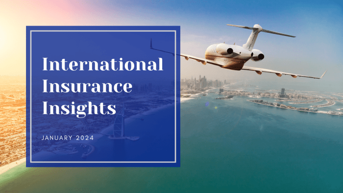 International travel insurance for flight cancellations in 2024