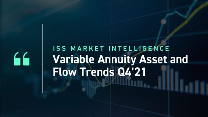 Variable Annuity Gmib 2024