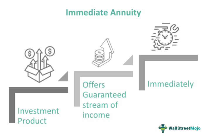 Immediate Annuity Consists Of A