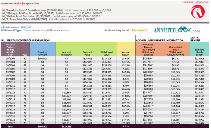 Jackson Perspective L Variable Annuity 2024