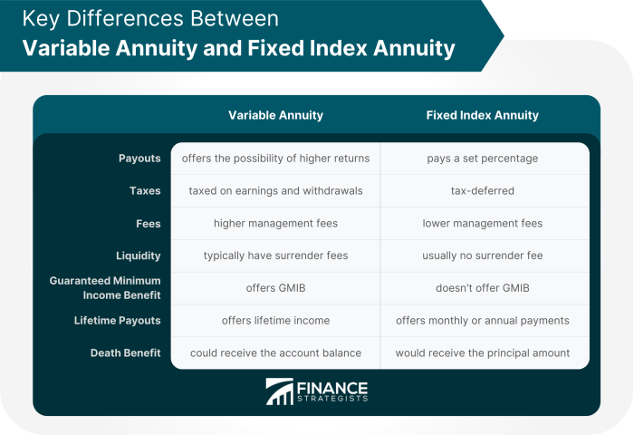 Variable Annuity Guaranteed Minimum Income Benefit 2024