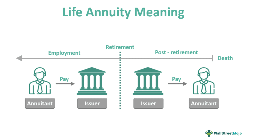 An Annuity Is Best Defined As 2024