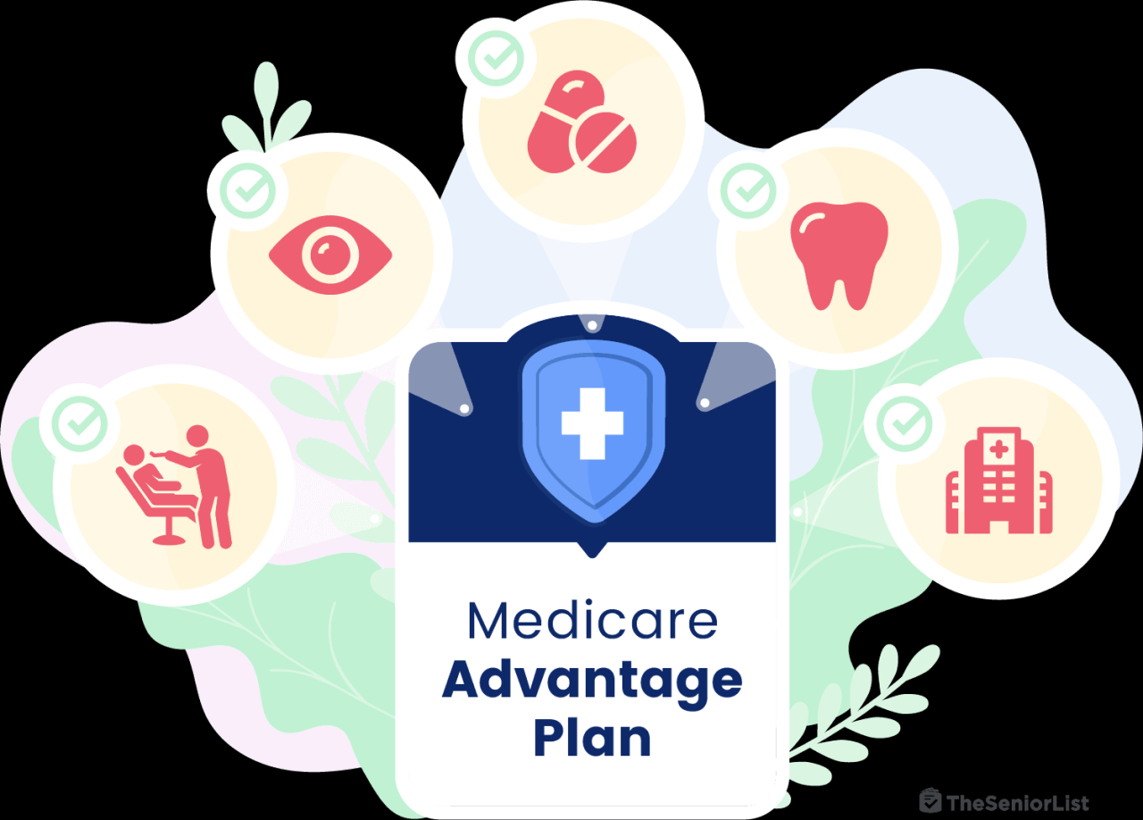 Humana Medicare Advantage 2024