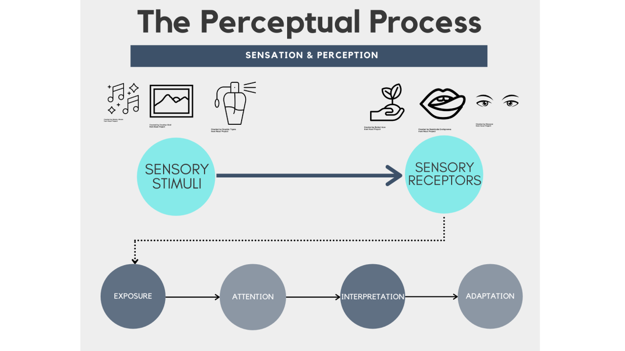 Understanding the Stimulus Check Application Review Process