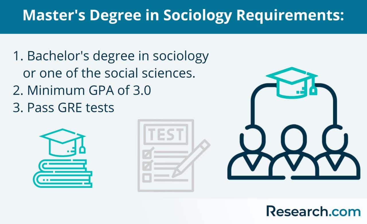 Sociology Degree 2024