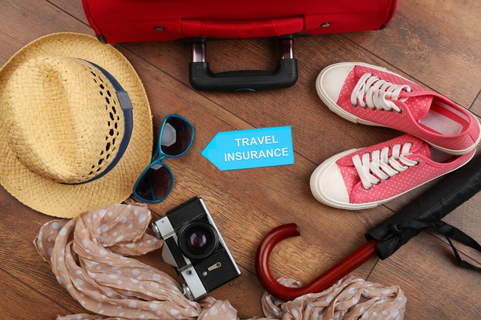 Travel insurance for international travel in October 2024 for students