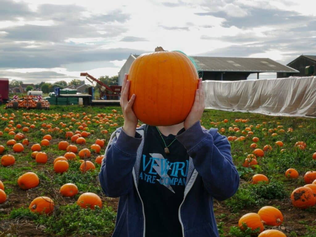 Eco-Friendly Halloween: TODAY Show's Commitment to Green Practices