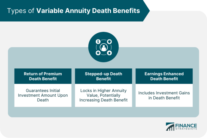 Variable Annuity Enhanced Death Benefit 2024