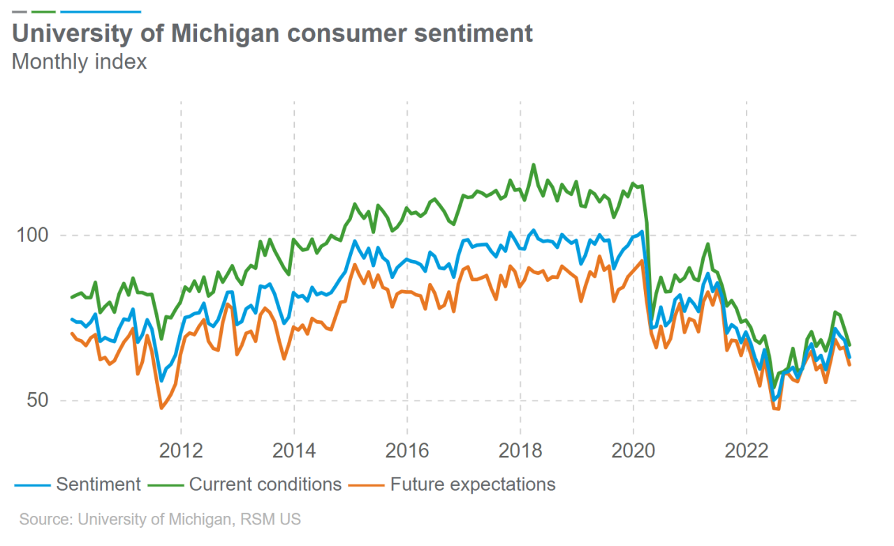 Inflation Expectations and the November 2024 CPI: Gauging Consumer Sentiment