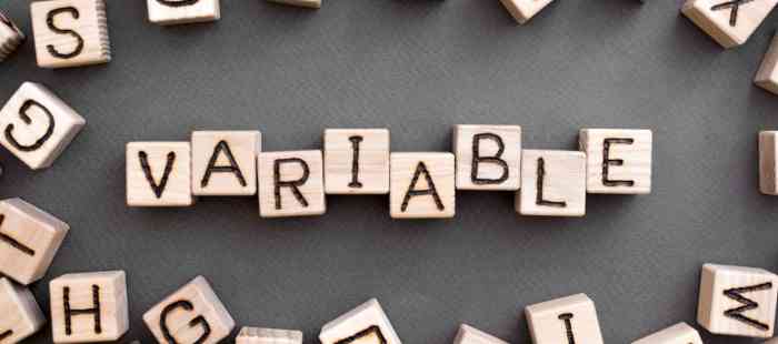 Understanding Variable Annuities 2024