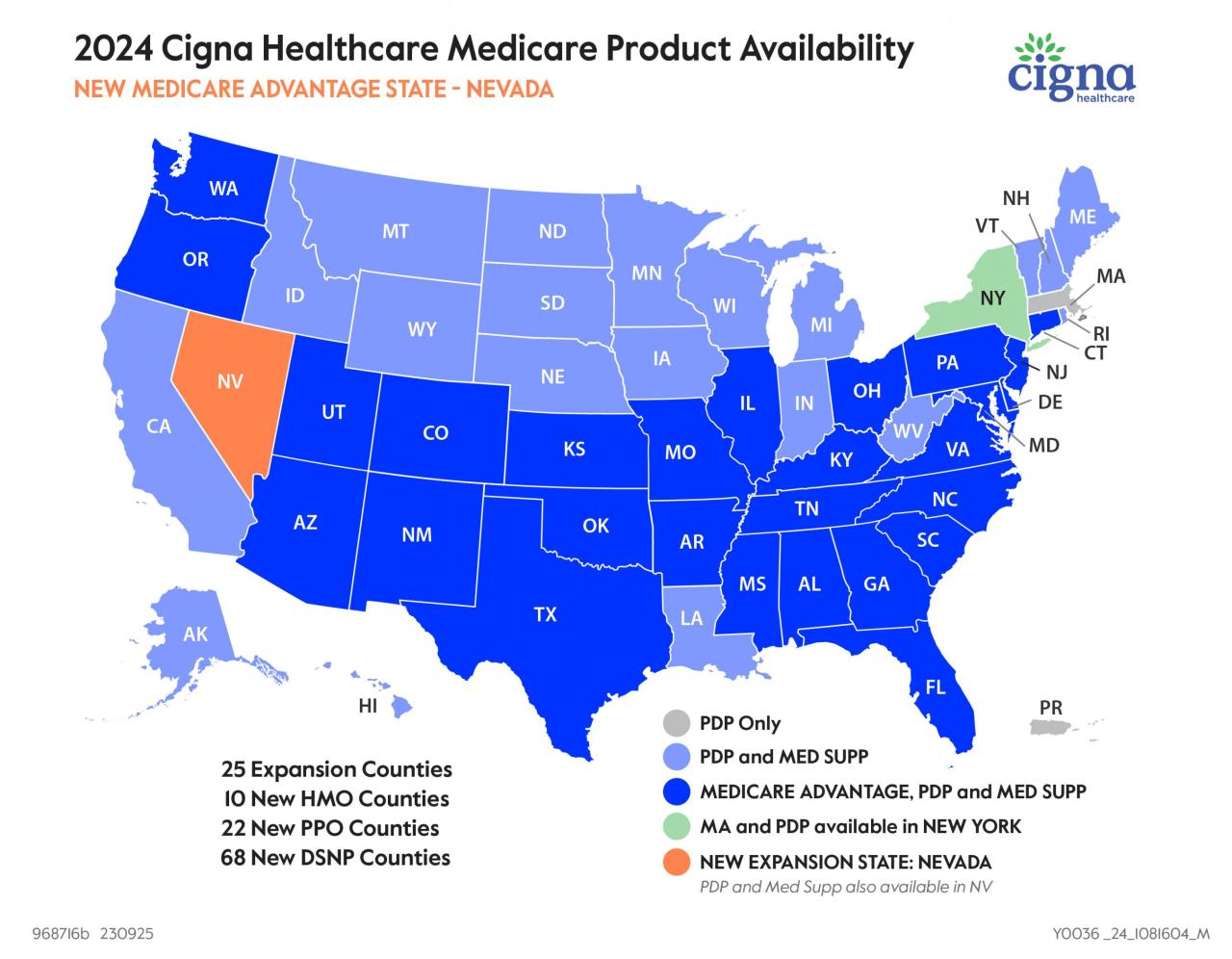 Building a Support Network After a Cigna Layoff in 2024