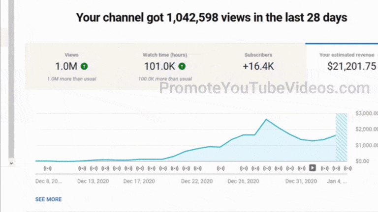 Google's YouTube Revenue in Q3 2024