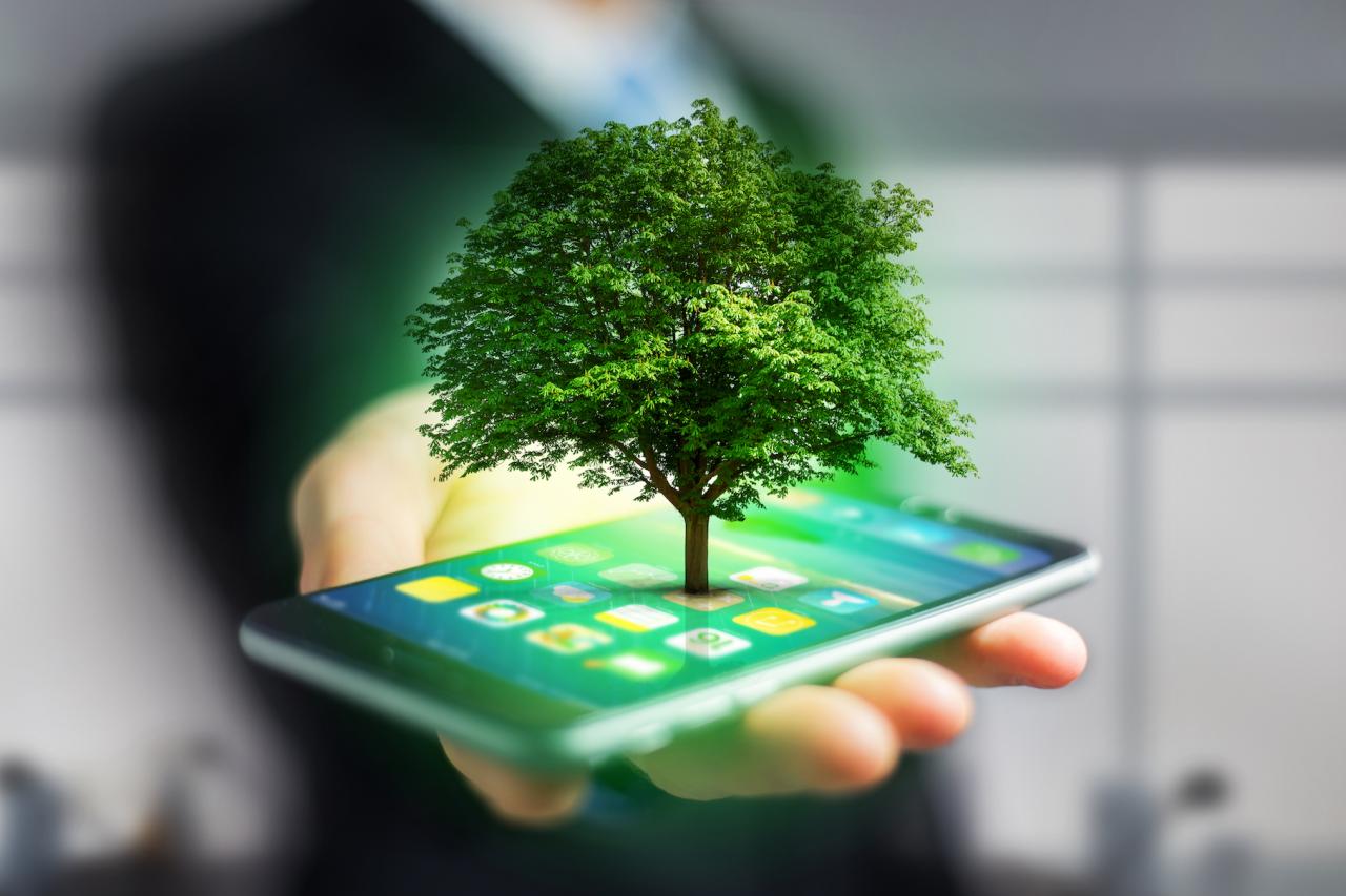 The Environmental Impact of Smartphone Batteries