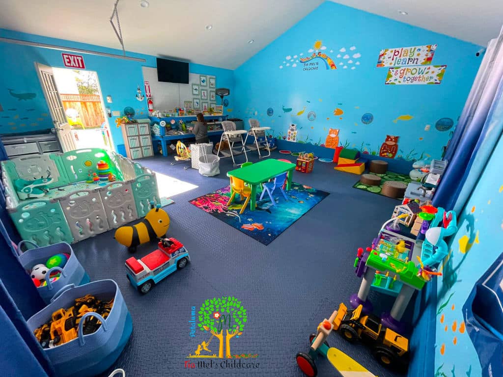 Daycares That Accept Ccms Near Me