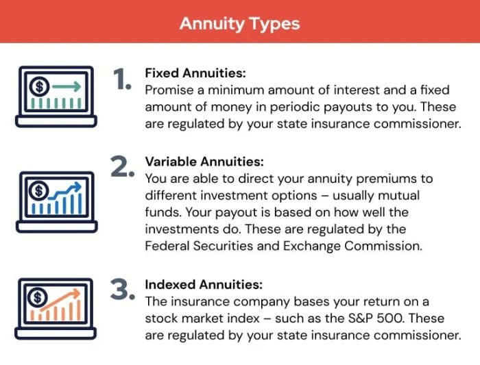 Variable Annuity 101 2024