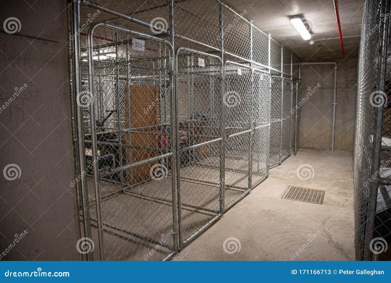 Apartment Storage Cage Theft 2024