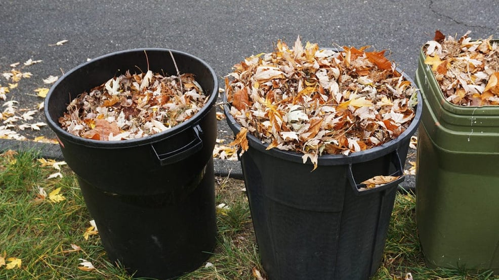 Where To Dump Yard Waste Near Me