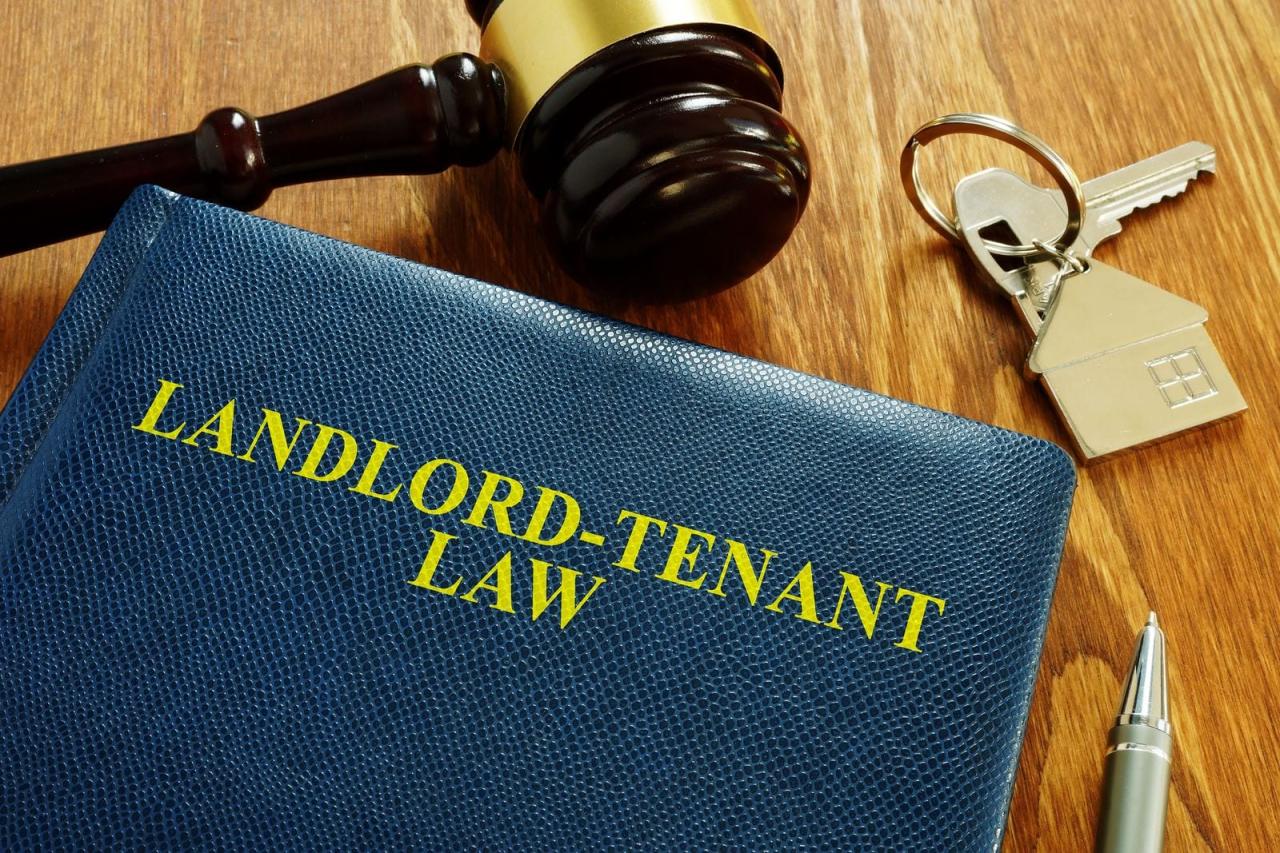 Landlord tenant lawyer law lawyers admin posted