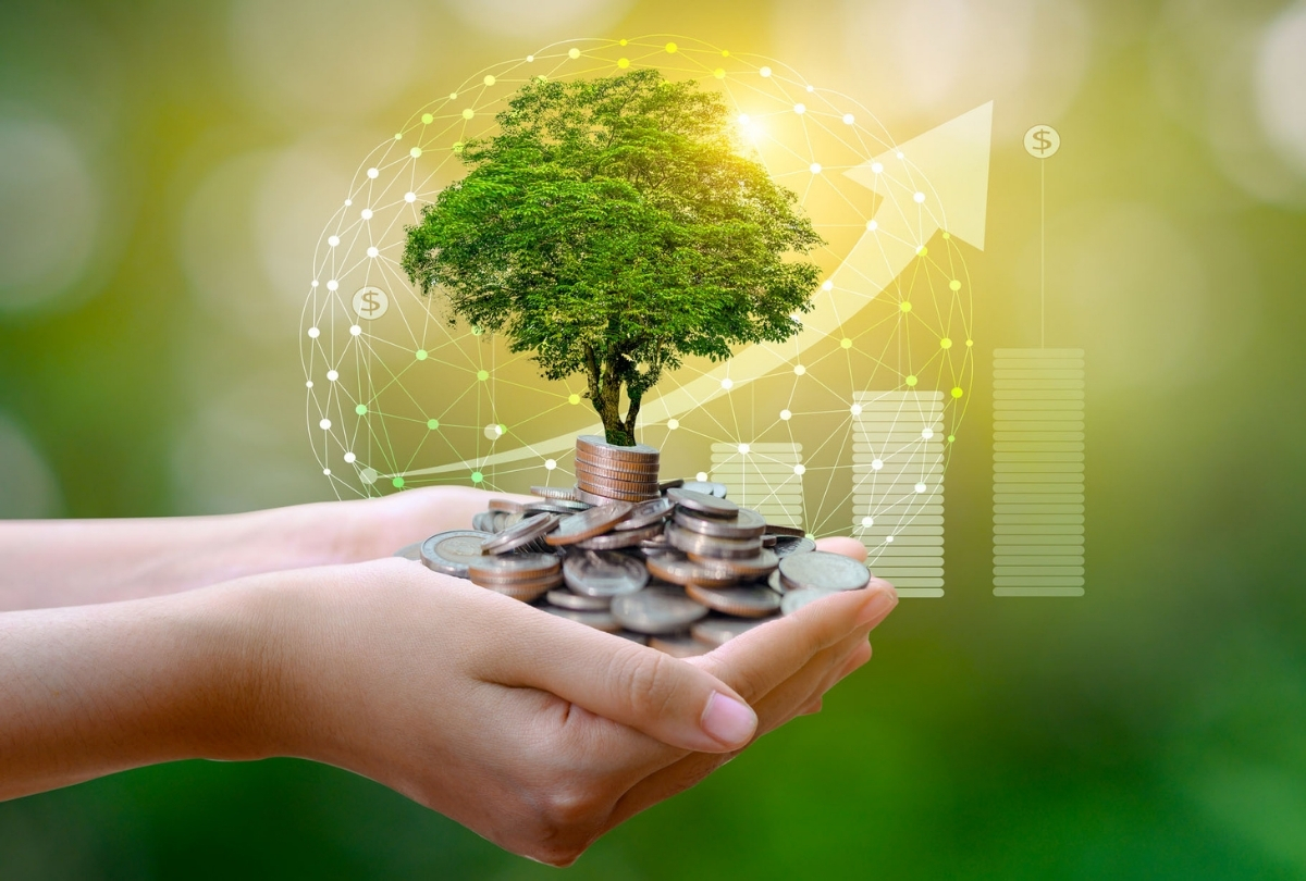 CPI and ESG Investing in November 2024: Socially Responsible Investing