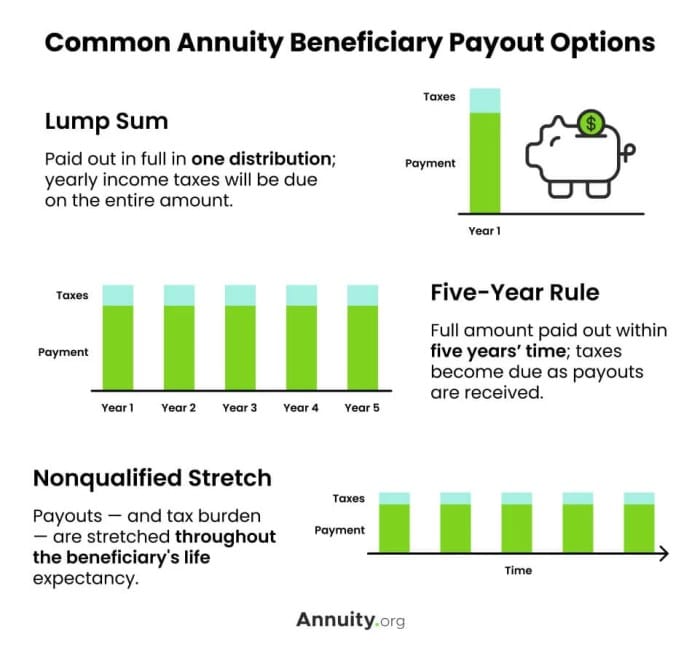 Variable Annuity Payout Options 2024