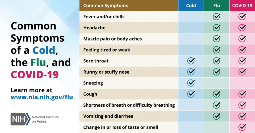 Flu and travel in October 2024