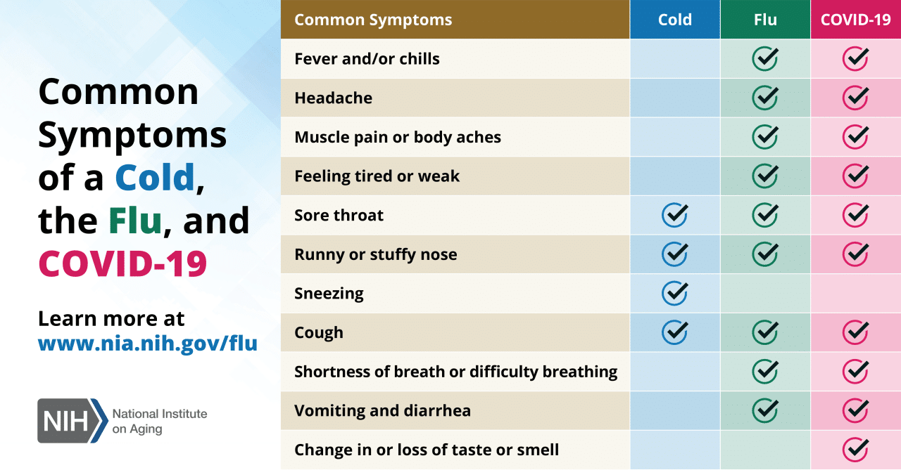 Flu symptoms October 2024 vs cold