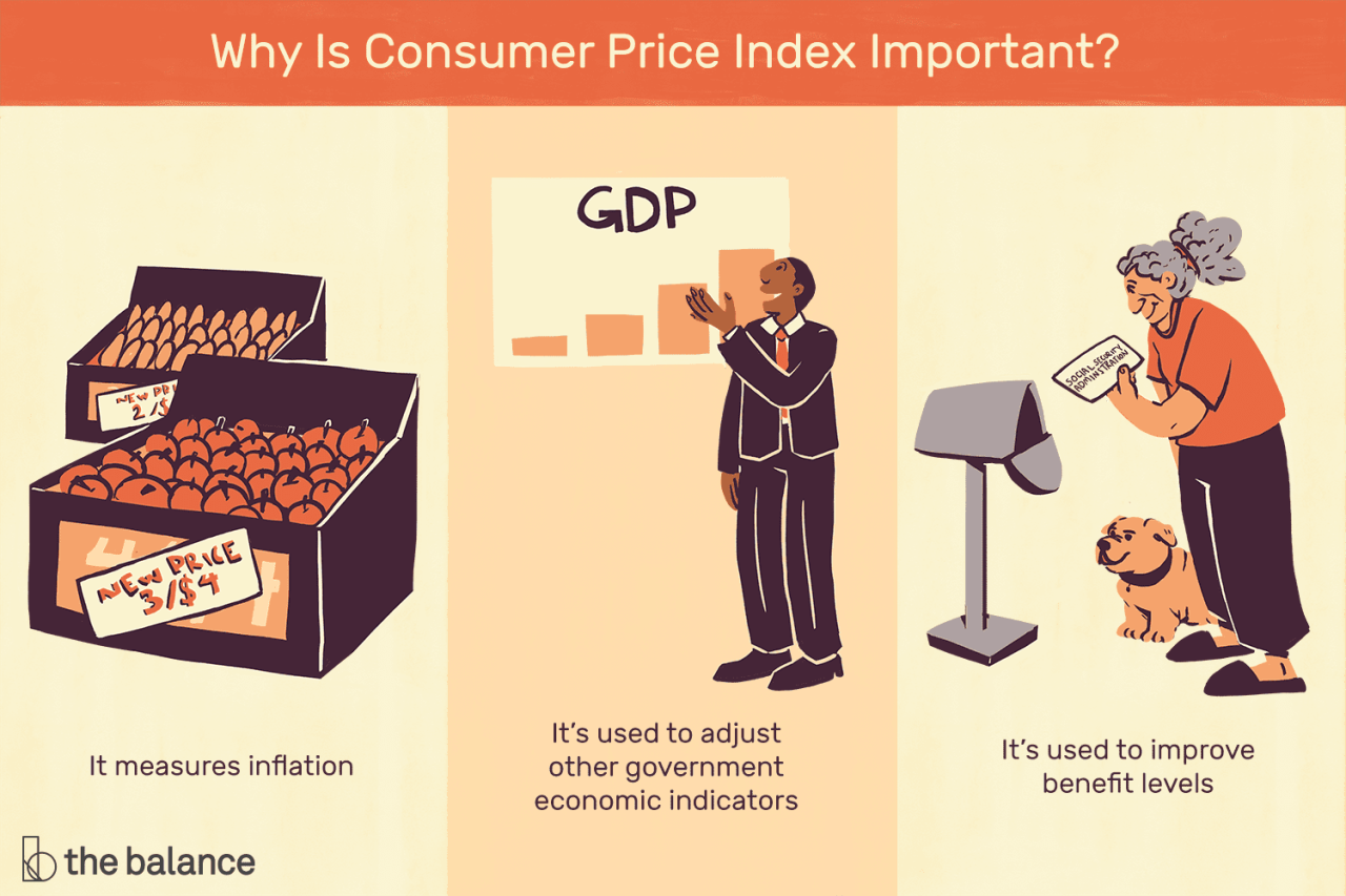 CPI and the Informal Economy in November 2024