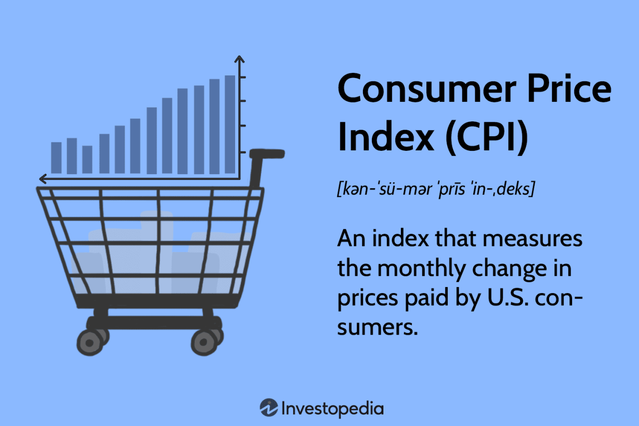 CPI and the Cost of Living for Different Demographics in November 2024