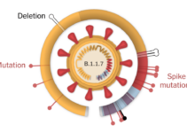 New Covid Variants and Their Symptoms in October 2024