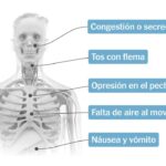 New Covid Symptoms October 2024: What to Look For