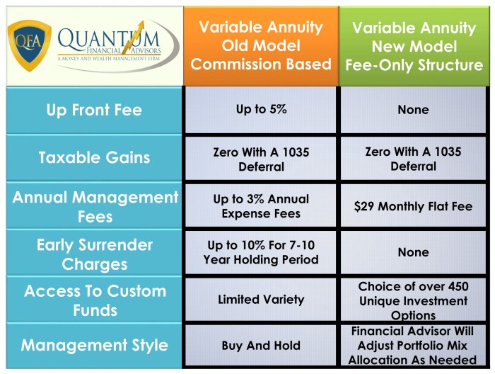 Variable Annuity Air 2024