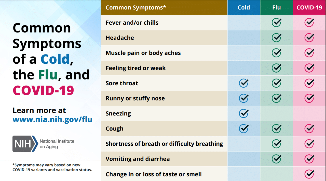 What are the new Covid symptoms in October 2024?