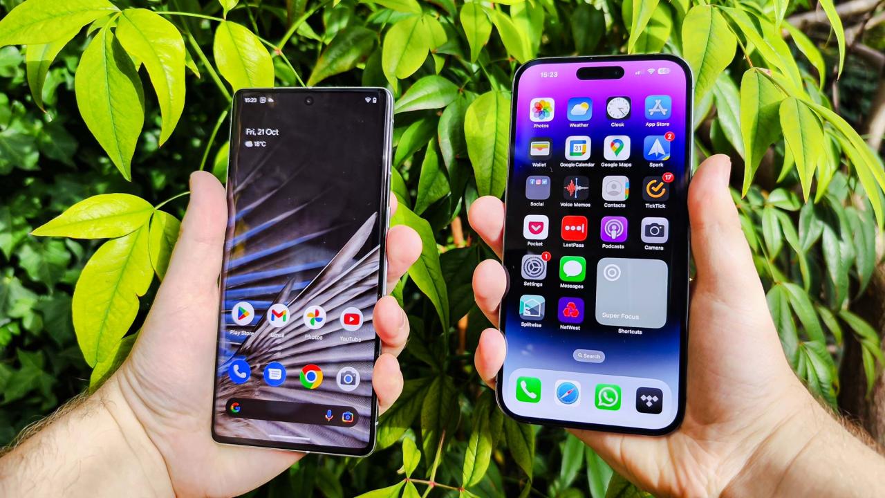 Pixel 9 Pro vs. Apple iPhone 16 Pro Max: Which Should You Buy?