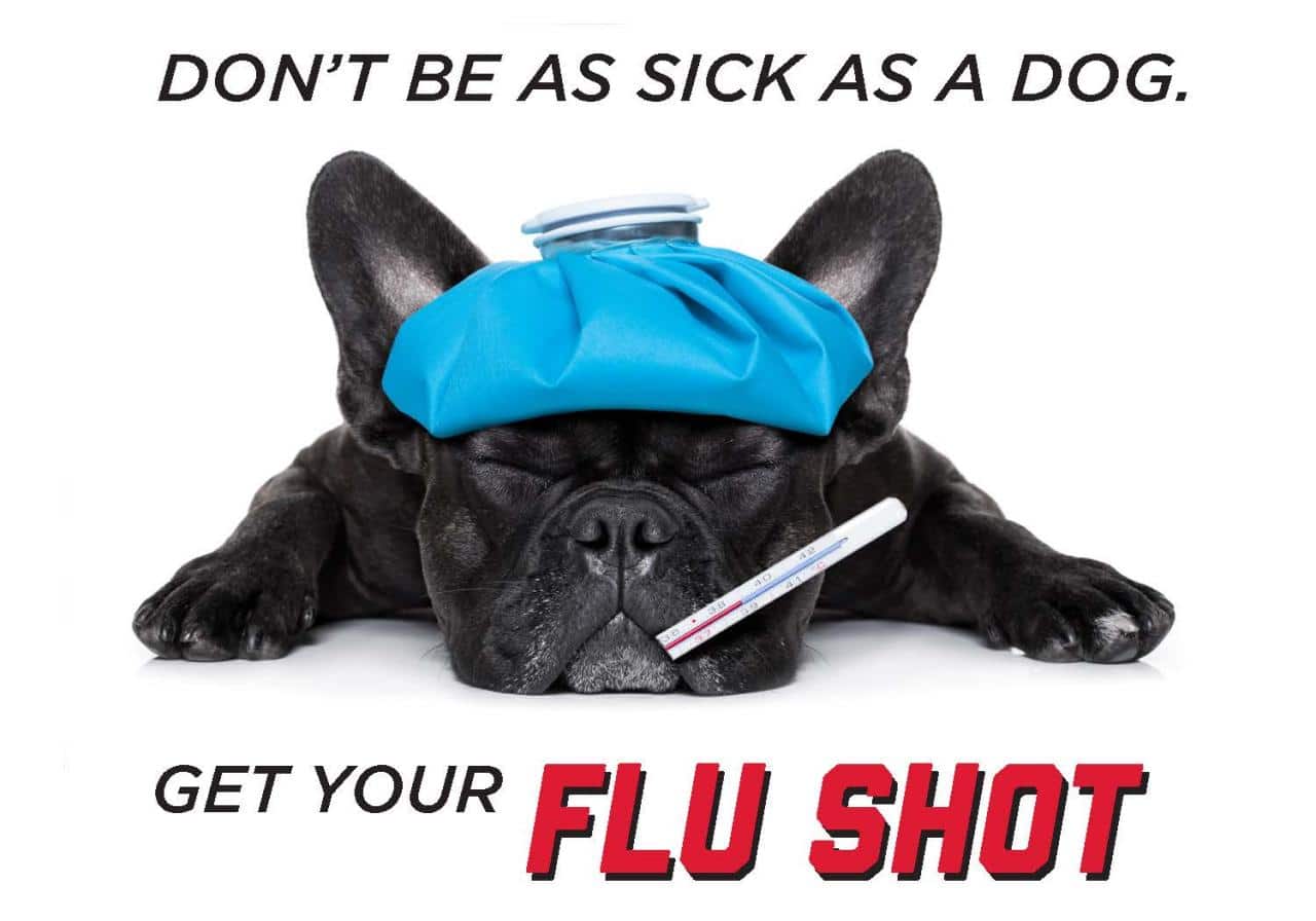 Flu universal influenza trial cdc shots walgreens deaths hospitalizations