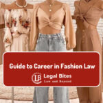 Fashion Lawyer