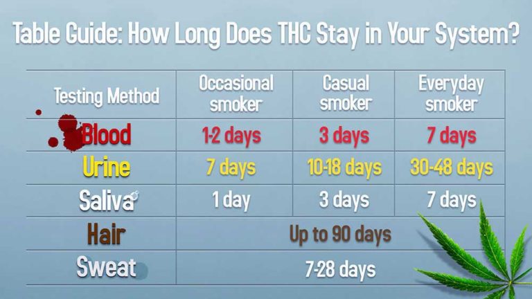 How long does marijuana stay in your system for a drug test in October 2024