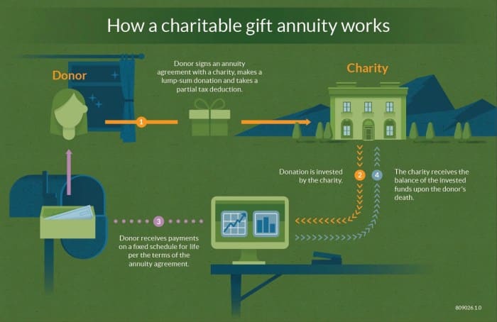 Immediate Gift Annuity